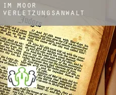 Im Moor  verletzungsanwalt