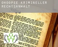 Ohoopee  krimineller rechtsanwalt