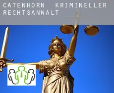 Catenhorn  krimineller rechtsanwalt