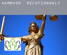 Hammoor  rechtsanwalt