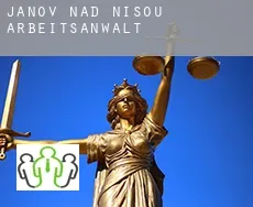 Janov nad Nisou  arbeitsanwalt