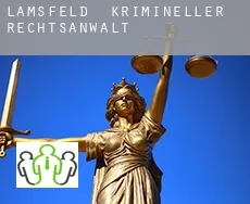 Lamsfeld  krimineller rechtsanwalt