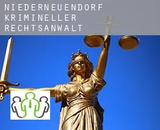 Niederneuendorf  krimineller rechtsanwalt