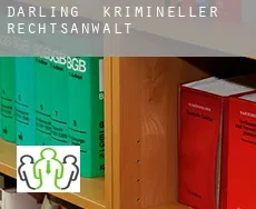 Darling krimineller rechtsanwalt