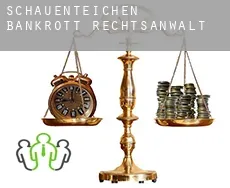 Schauenteichen  bankrott rechtsanwalt