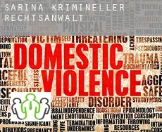 Sarina  krimineller rechtsanwalt