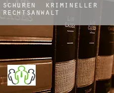 Schüren  krimineller rechtsanwalt