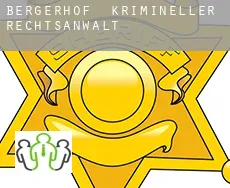 Bergerhof  krimineller rechtsanwalt