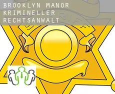 Brooklyn Manor  krimineller rechtsanwalt