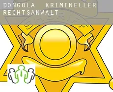 Dongola krimineller rechtsanwalt