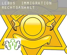 Lebus  immigration rechtsanwalt