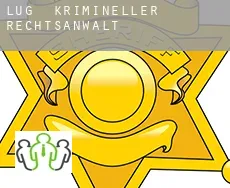 Lug  krimineller rechtsanwalt