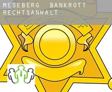 Meseberg  bankrott rechtsanwalt