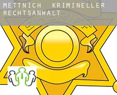 Mettnich  krimineller rechtsanwalt