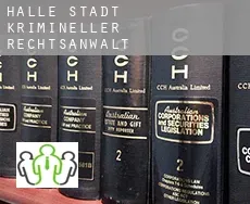 Halle Stadt  krimineller rechtsanwalt