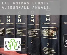 Las Animas County  Autounfall Anwalt