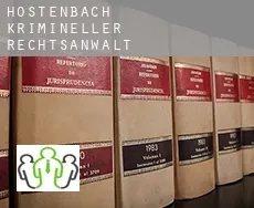 Hostenbach  krimineller rechtsanwalt