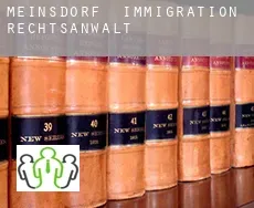 Meinsdorf  immigration rechtsanwalt