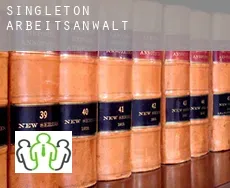Singleton arbeitsanwalt