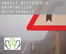 Anhalt-Bitterfeld  krimineller rechtsanwalt