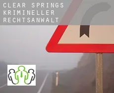 Clear Springs  krimineller rechtsanwalt