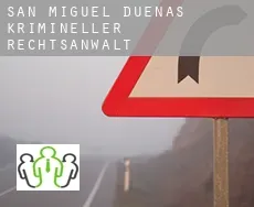 San Miguel Dueñas  krimineller rechtsanwalt