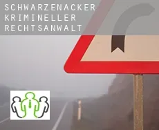 Schwarzenacker  krimineller rechtsanwalt