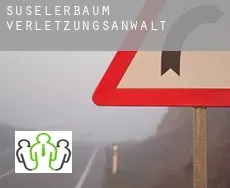 Süselerbaum  verletzungsanwalt