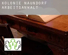 Kolonie Naundorf  arbeitsanwalt