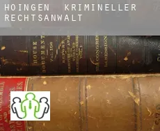 Höingen  krimineller rechtsanwalt