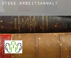 Stege arbeitsanwalt