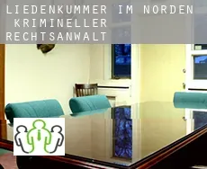 Liedenkummer im Norden  krimineller rechtsanwalt