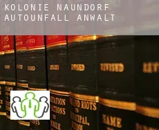 Kolonie Naundorf  Autounfall Anwalt