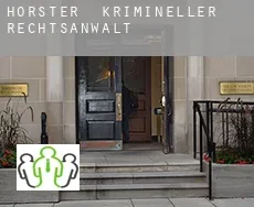 Hörster  krimineller rechtsanwalt