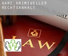 Harz Landkreis  krimineller rechtsanwalt