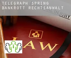 Telegraph Spring  bankrott rechtsanwalt