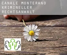 Canale Monterano  krimineller rechtsanwalt