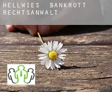 Hellwies  bankrott rechtsanwalt