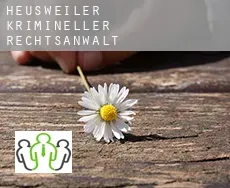 Heusweiler  krimineller rechtsanwalt