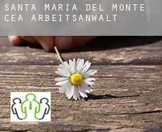 Santa María del Monte de Cea  arbeitsanwalt