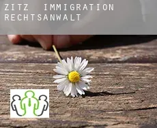 Zitz  immigration rechtsanwalt