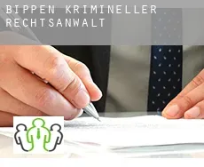 Bippen  krimineller rechtsanwalt