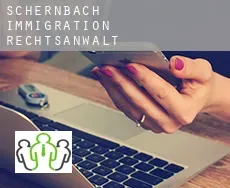 Schernbach  immigration rechtsanwalt