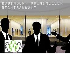 Büdingen  krimineller rechtsanwalt