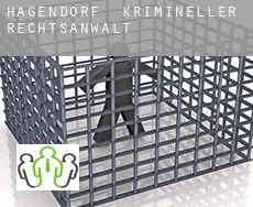 Hagendorf  krimineller rechtsanwalt