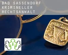 Bad Sassendorf  krimineller rechtsanwalt