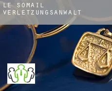 Le Somail  verletzungsanwalt