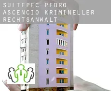 Sultepec de Pedro Ascencio de Alquisiras  krimineller rechtsanwalt