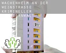 Wachenheim an der Weinstraße  krimineller rechtsanwalt