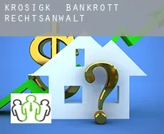 Krosigk  bankrott rechtsanwalt